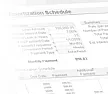 Reporting Payments on Compound Interest Loans  |  Most software that records and reports simple interest loans, makes it very easy...