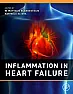 (PDF) Inflammation in Heart Failure by Matthijs Blankesteijn |  This is the PDF eBook version for Inflammation in Heart Failure by Matthijs...